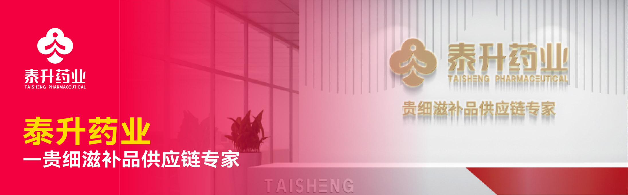 括号品牌-泰升药业