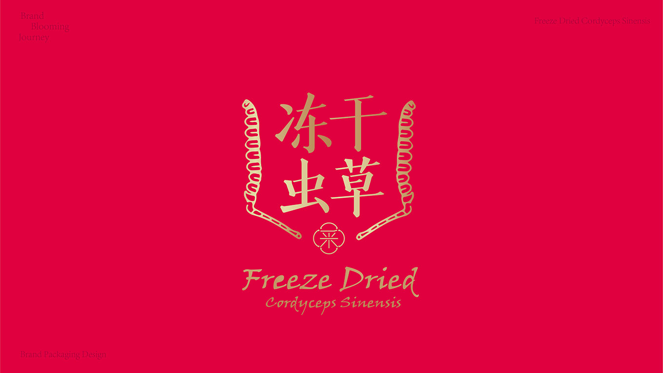 虫草方案整合_画板 1.jpg