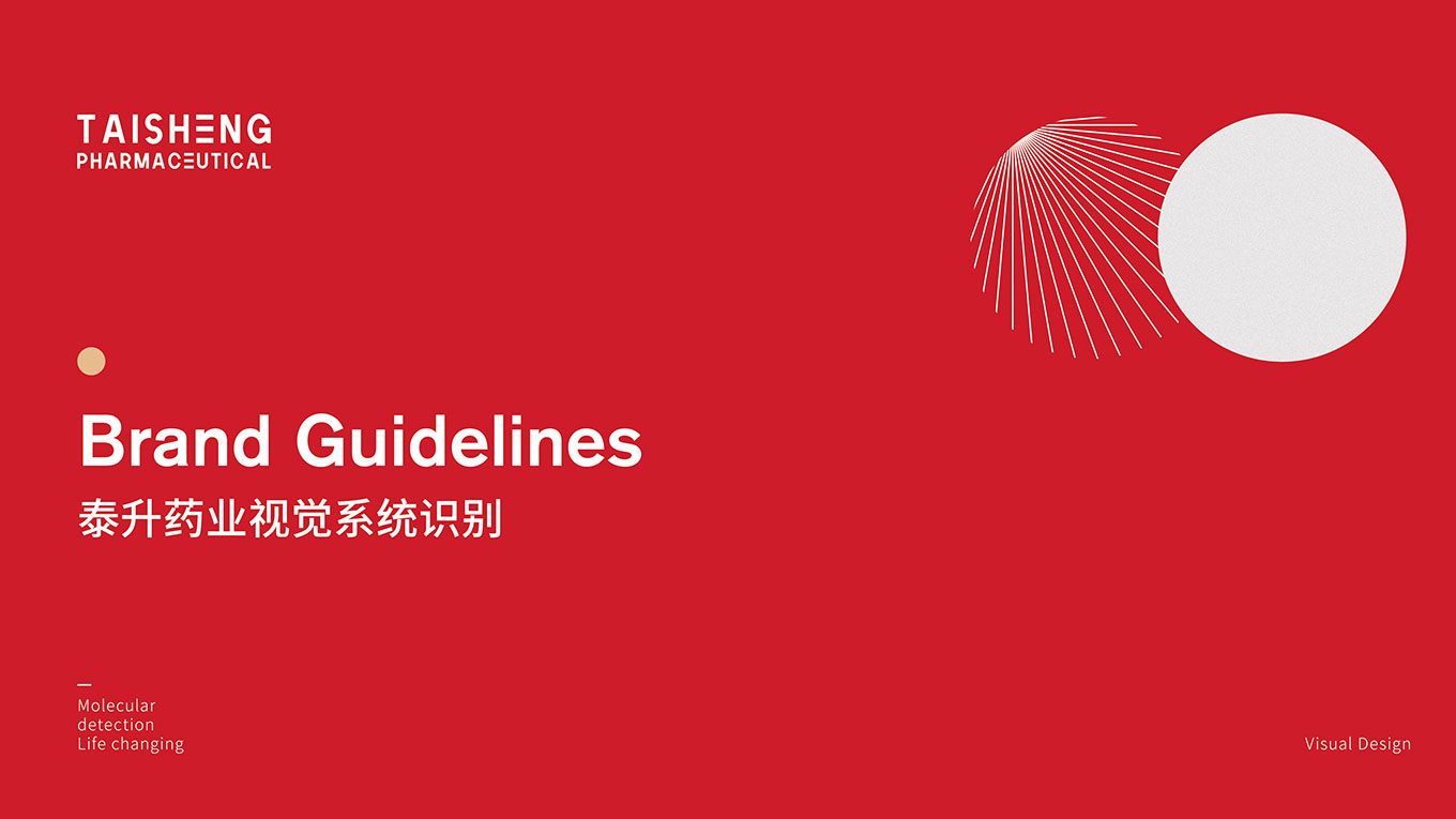 A泰升药业品牌VIS_画板 1.jpg