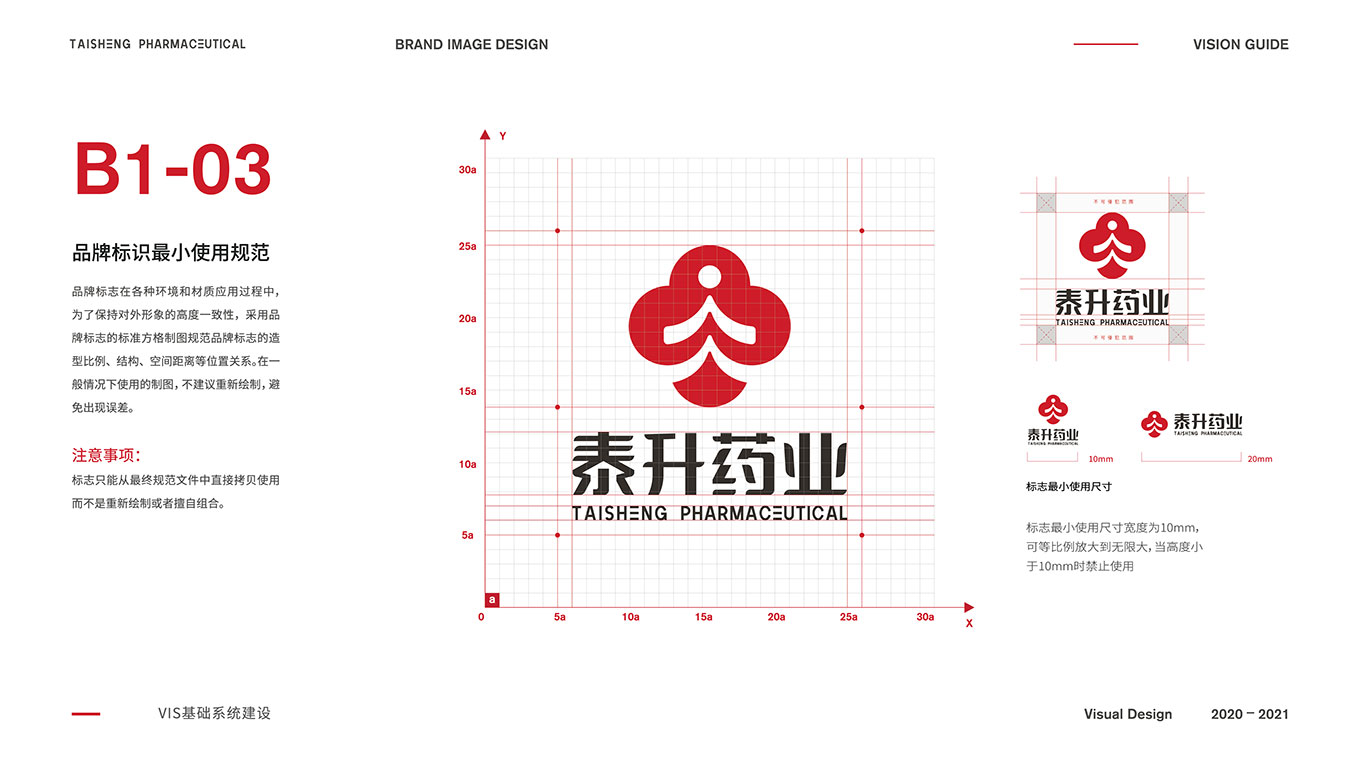 A泰升药业品牌VIS-10.jpg