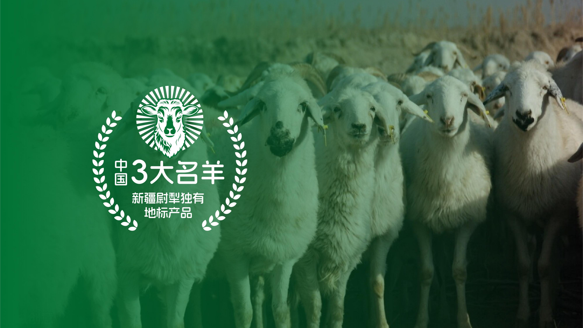 图片13.png