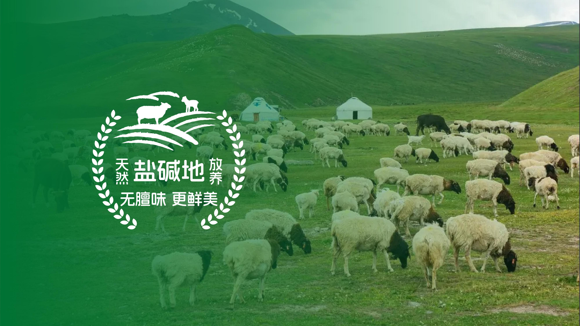 图片14.png