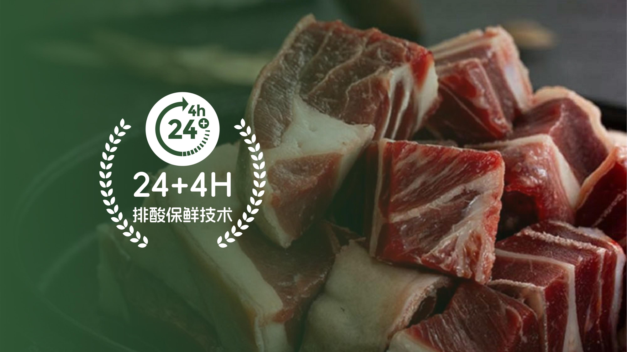 图片17.png